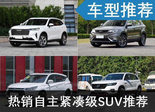 口碑好家用车suv 哪个更适合你