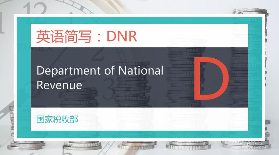 department是什么意思