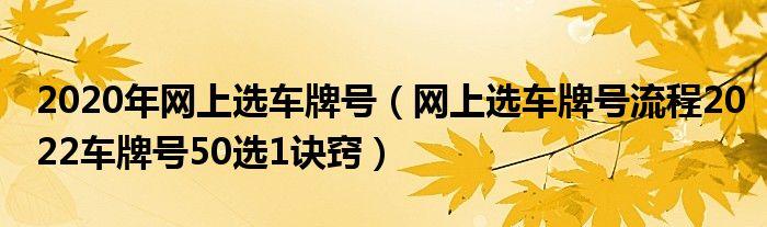 网上自编选车牌号技巧 2022自编车牌号码大全