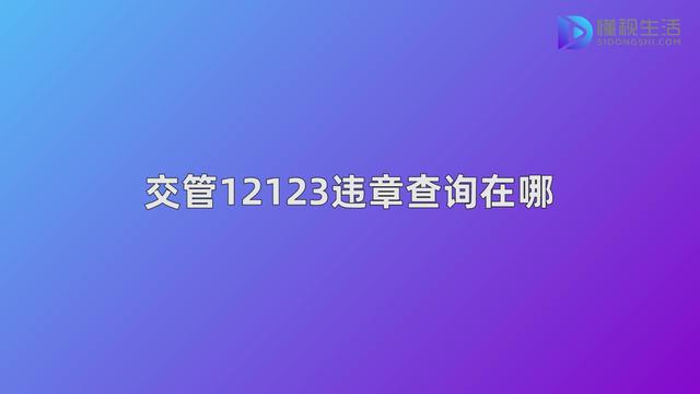 山东交通违章查询官网 山东交管12123官网违章查询在哪里