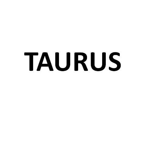 taurus taurus男生用是什么意思