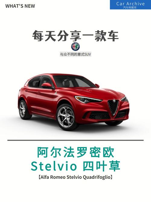 stelvio stelvio是什么车