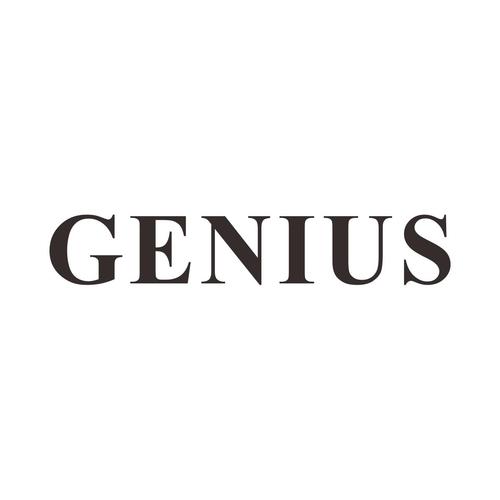 genius genius是什么意思