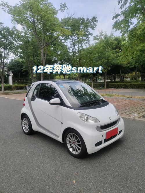 smart车 smart 是什么车什么价位