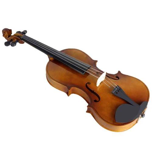 violin violin小提琴怎么读