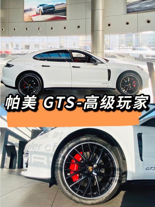 gts什么意思 GTS是什么意思