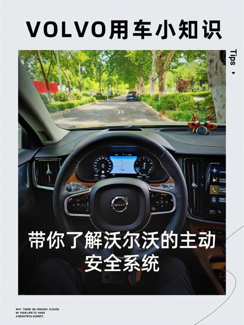 国内开沃尔沃什么人(一般什么样的人会开沃尔沃(Volvo))