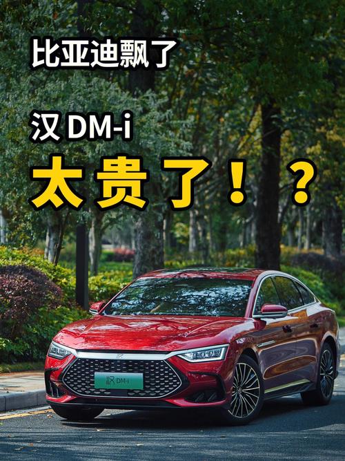 比亚迪汉便宜多少钱(比亚迪汉DM-i用车成本与油费大概需要花费多少钱)