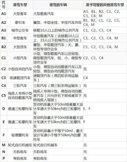 广西直接买c1驾驶证(广西考c1驾驶证要多少钱)