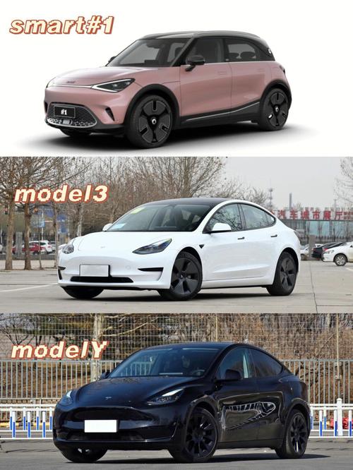 特斯拉modely(特斯拉model3和modely区别)