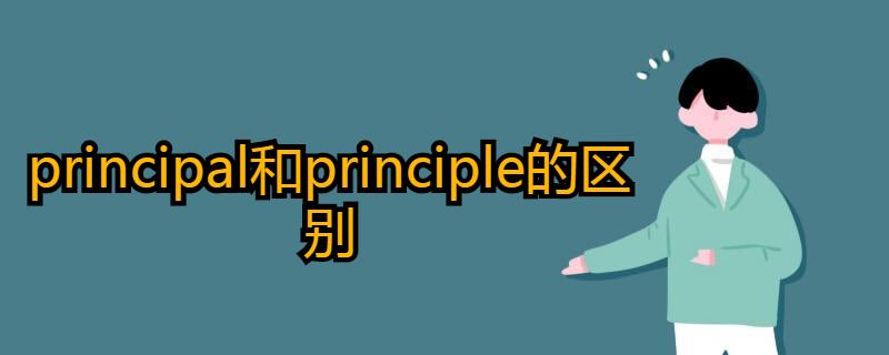 principle principal和principle的区别