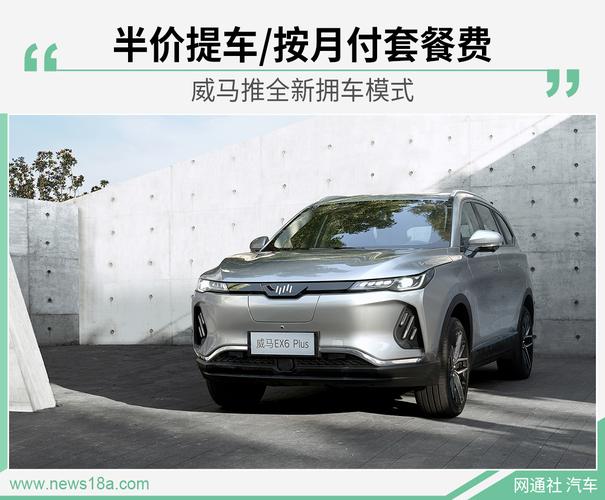 威马汽车2020款报价(威马EX62020款落地需要多少钱)