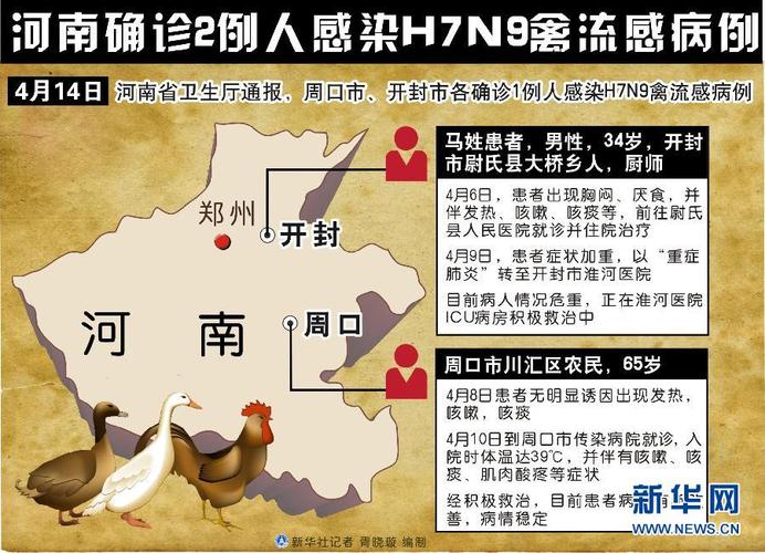 h7n9禽流感死多少人(2013年禽流感死了多少人)