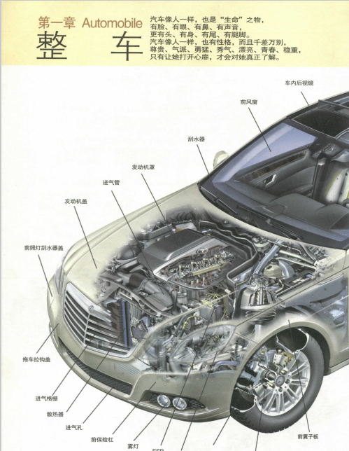 汽车基础知识入门必修 汽车基础知识 入门必修是什么