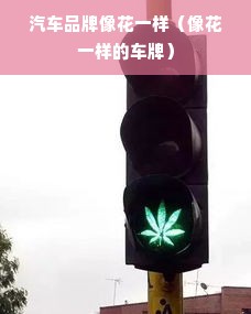 汽车品牌像花一样（像花一样的车牌）