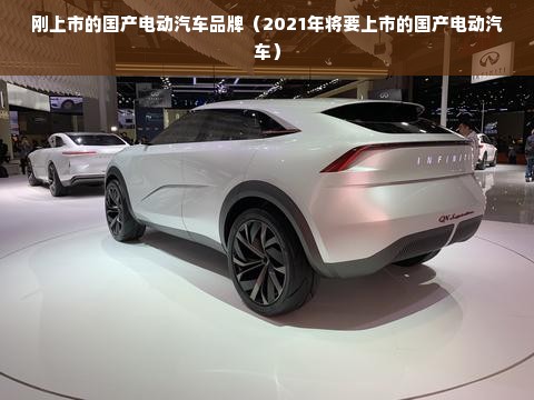 刚上市的国产电动汽车品牌（2021年将要上市的国产电动汽车）