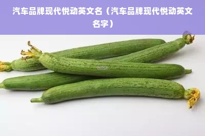 汽车品牌现代悦动英文名（汽车品牌现代悦动英文名字）