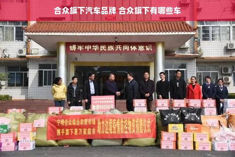 合众旗下汽车品牌 合众旗下有哪些车