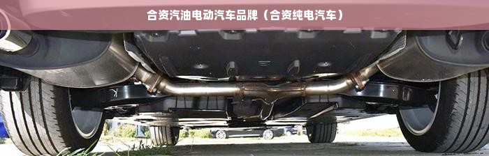 合资汽油电动汽车品牌（合资纯电汽车）