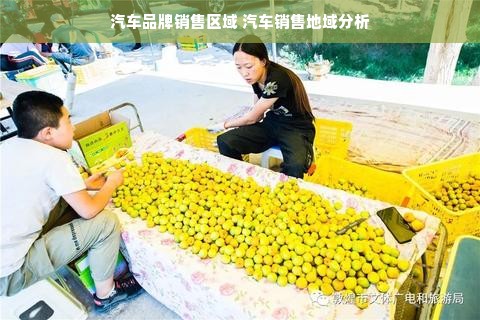 汽车品牌销售区域 汽车销售地域分析