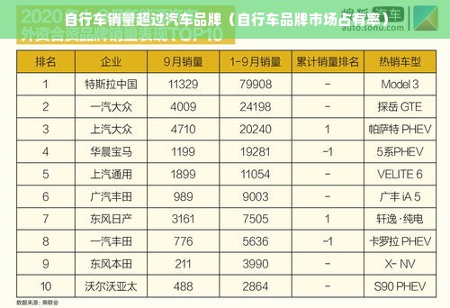 自行车销量超过汽车品牌（自行车品牌市场占有率）