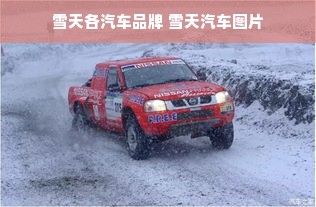 雪天各汽车品牌 雪天汽车图片