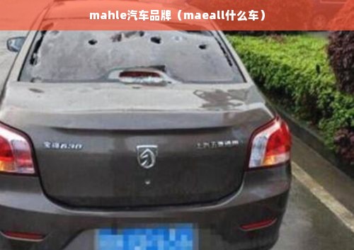 mahle汽车品牌（maeall什么车）