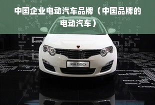 中国企业电动汽车品牌（中国品牌的电动汽车）