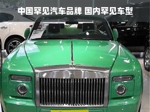 中国罕见汽车品牌 国内罕见车型