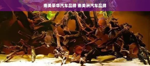 南美豪华汽车品牌 南美洲汽车品牌