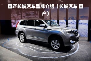 国产长城汽车品牌介绍（长城汽车 国产）