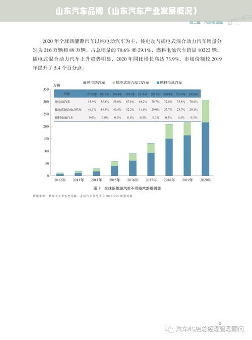 山东汽车品牌（山东汽车产业发展概况）
