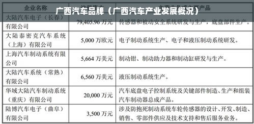 广西汽车品牌（广西汽车产业发展概况）