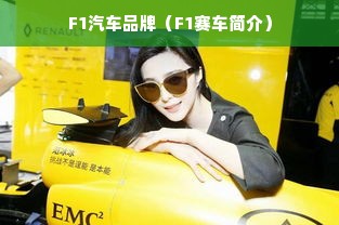 F1汽车品牌（F1赛车简介）