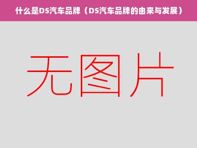 什么是DS汽车品牌（DS汽车品牌的由来与发展）