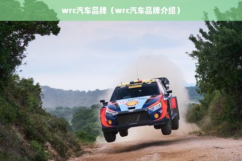 wrc汽车品牌（wrc汽车品牌介绍）