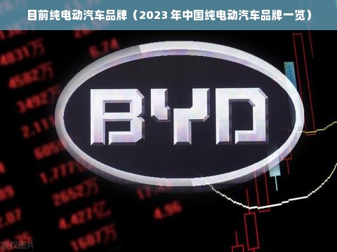 目前纯电动汽车品牌（2023 年中国纯电动汽车品牌一览）