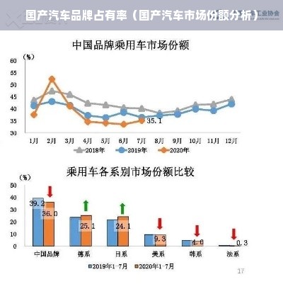 国产汽车品牌占有率（国产汽车市场份额分析）