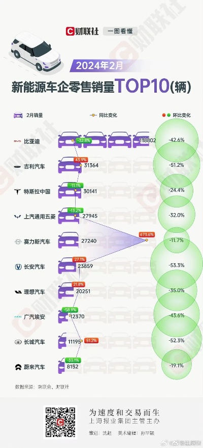 电动汽车品牌哪个好（2024年电动汽车市场综合评测）