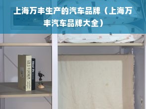 上海万丰生产的汽车品牌（上海万丰汽车品牌大全）