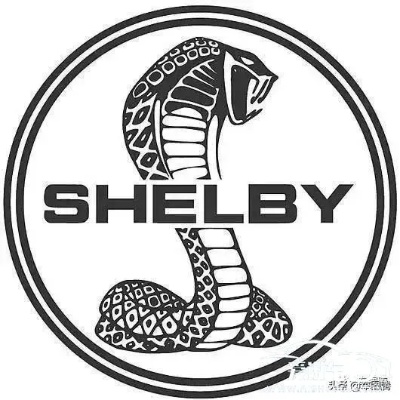 shelby汽车品牌（汽车品牌shelby）