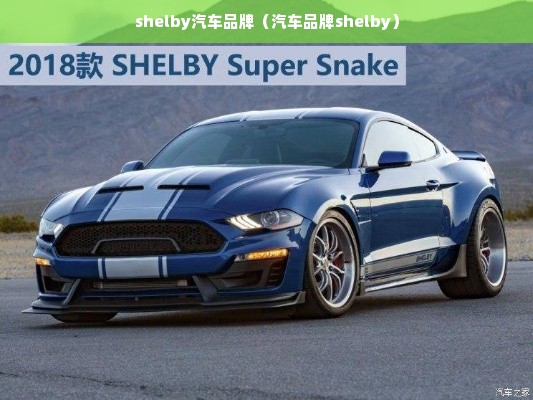 shelby汽车品牌（汽车品牌shelby）