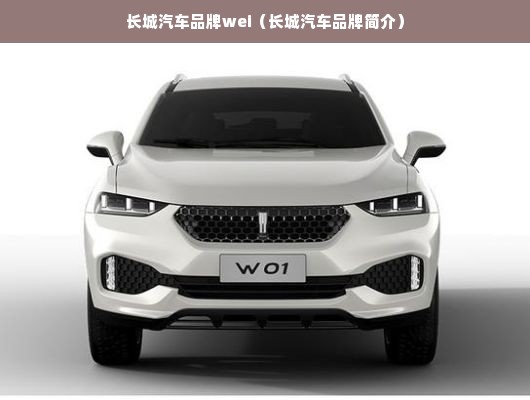 长城汽车品牌wei（长城汽车品牌简介）