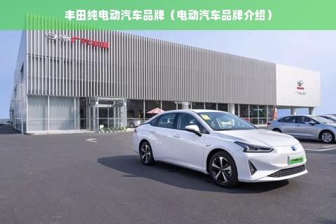 丰田纯电动汽车品牌（电动汽车品牌介绍）