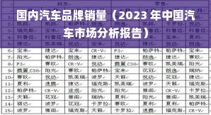 国内汽车品牌销量（2023 年中国汽车市场分析报告）