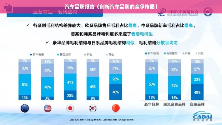 汽车品牌报告（剖析汽车品牌的竞争格局）