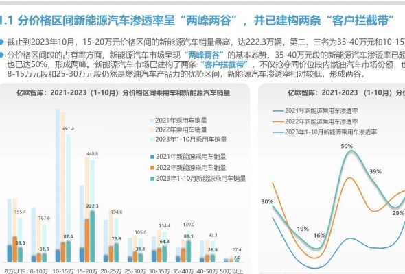 汽车品牌报告（剖析汽车品牌的竞争格局）