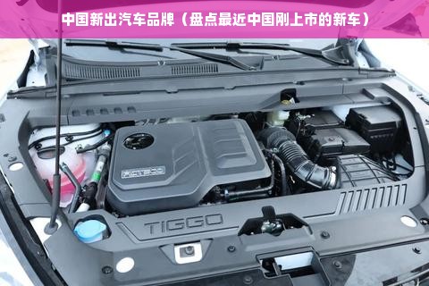 中国新出汽车品牌（盘点最近中国刚上市的新车）