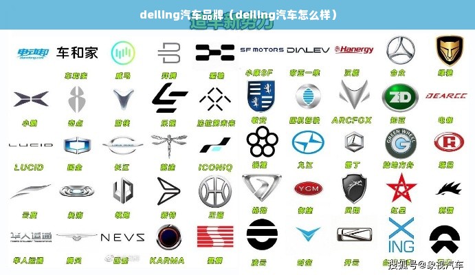 deiling汽车品牌（deiling汽车怎么样）