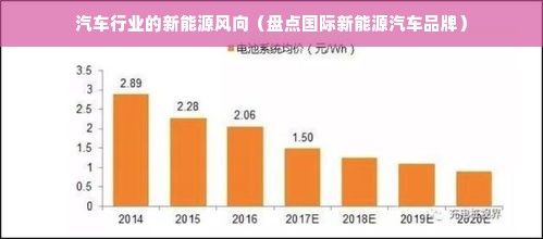 汽车行业的新能源风向（盘点国际新能源汽车品牌）